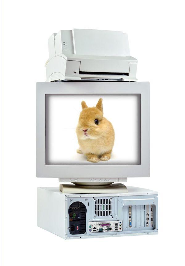 ð Ž   :  30ֳ  ʱ ()